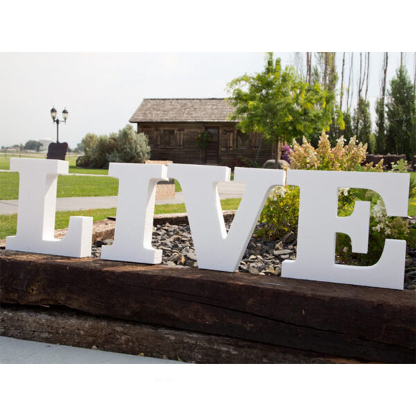 PERSONALISED PLEXIGLASS LETTERS – 25CM CUSTOM ACRYLIC (PRICE PER LETTER) - Image 2